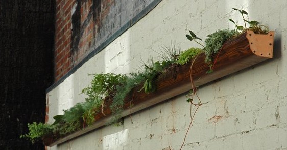 Raingutter garden for Local 123 Cafe in Berkeley